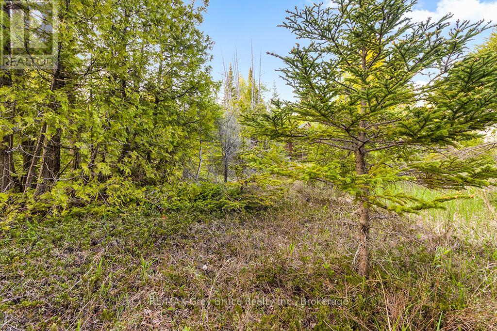 Unit 39 Tamarac Road, Northern Bruce Peninsula, Ontario  N0H 2M0 - Photo 25 - X11913101