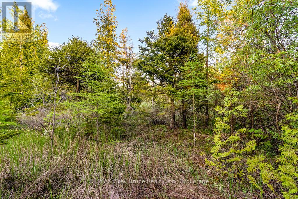 Unit 39 Tamarac Road, Northern Bruce Peninsula, Ontario  N0H 2M0 - Photo 26 - X11913101