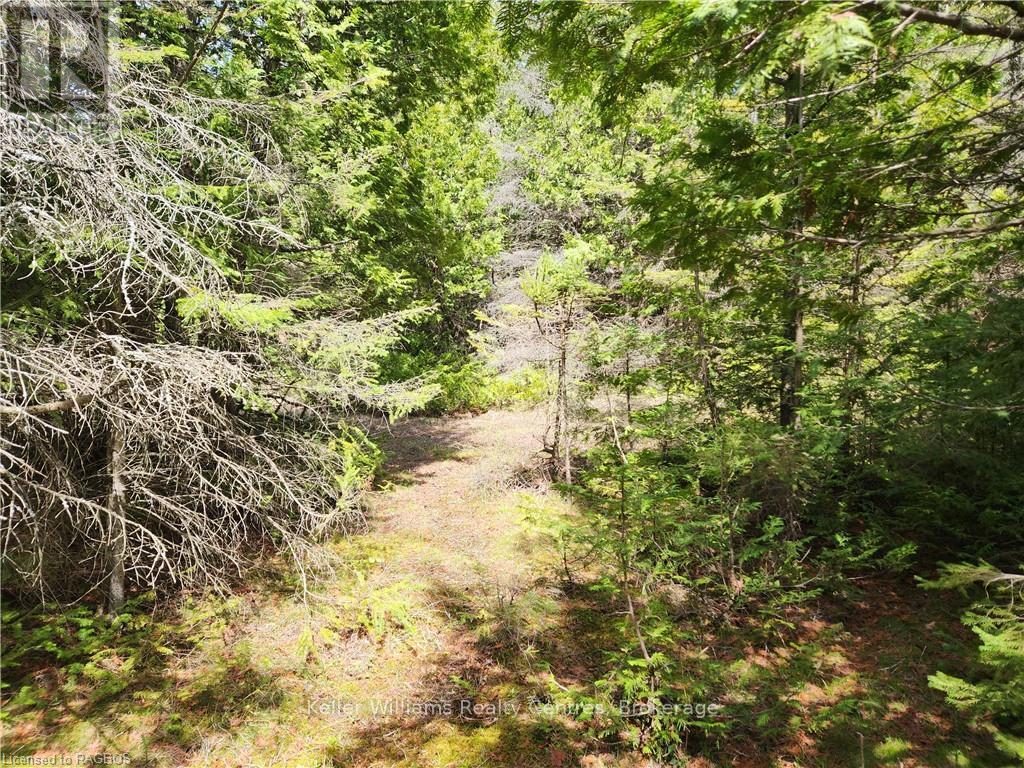 1061 Sunset Drive, South Bruce Peninsula, Ontario  N0H 2T0 - Photo 18 - X11950526