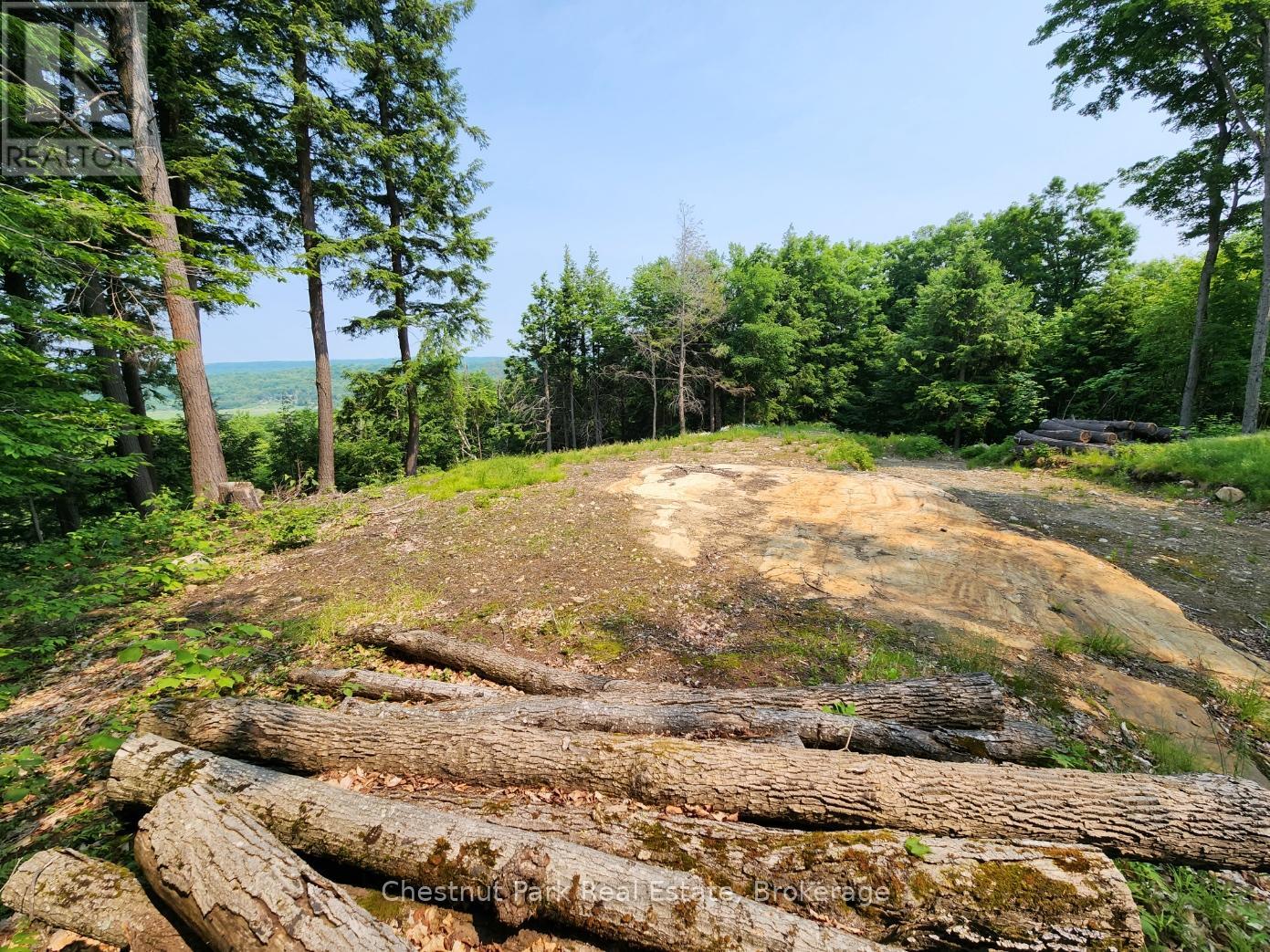 19 Old Hemlock Trail, Huntsville, Ontario  P1H 0A7 - Photo 10 - X11950837