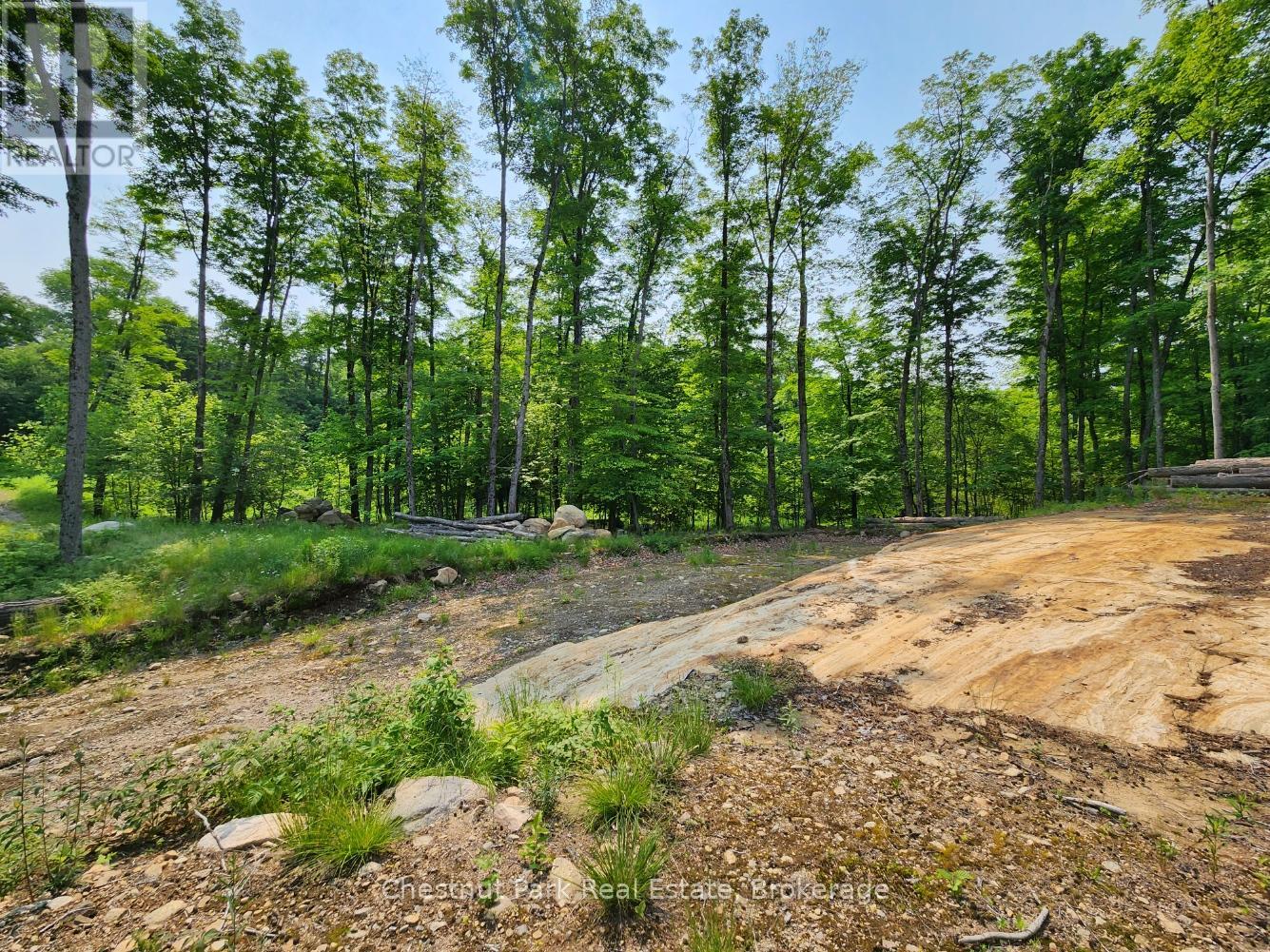 19 Old Hemlock Trail, Huntsville, Ontario  P1H 0A7 - Photo 16 - X11950837