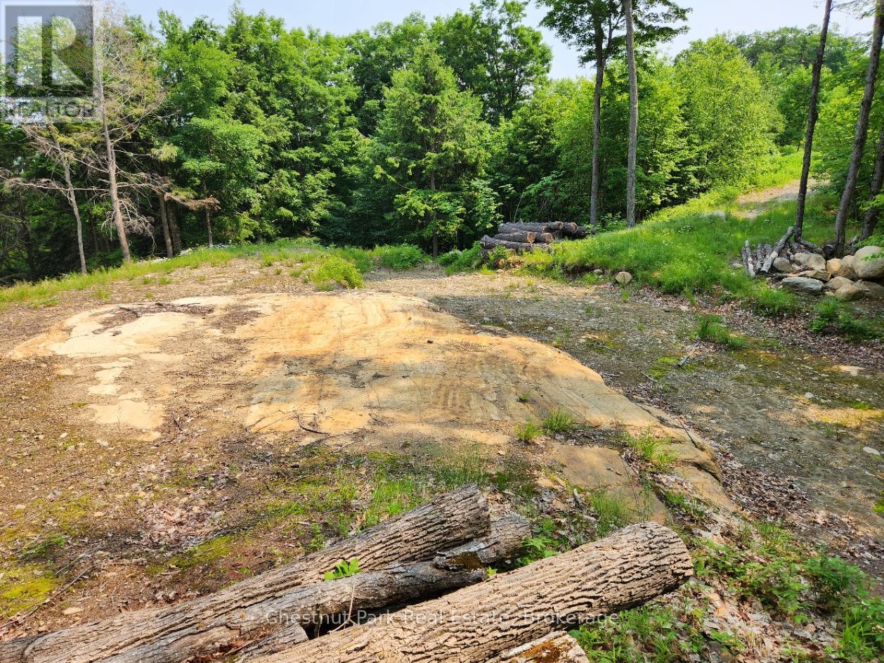 19 Old Hemlock Trail, Huntsville, Ontario  P1H 0A7 - Photo 17 - X11950837