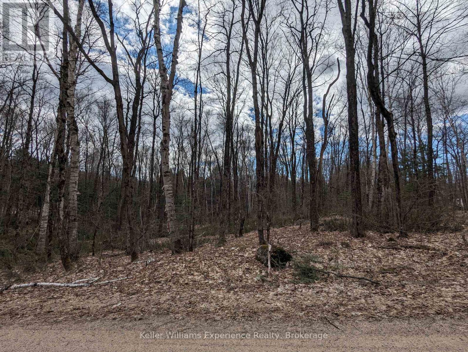 Pl8 East Bear Lake Road, Mcmurrich/monteith, Ontario  P0A 1Y0 - Photo 4 - X11952403
