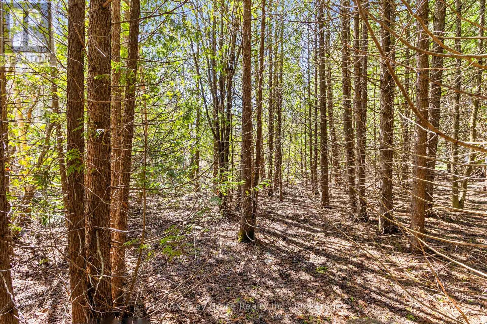 57 Maple Golf Crescent, Northern Bruce Peninsula, Ontario  N0H 2R0 - Photo 11 - X11956564
