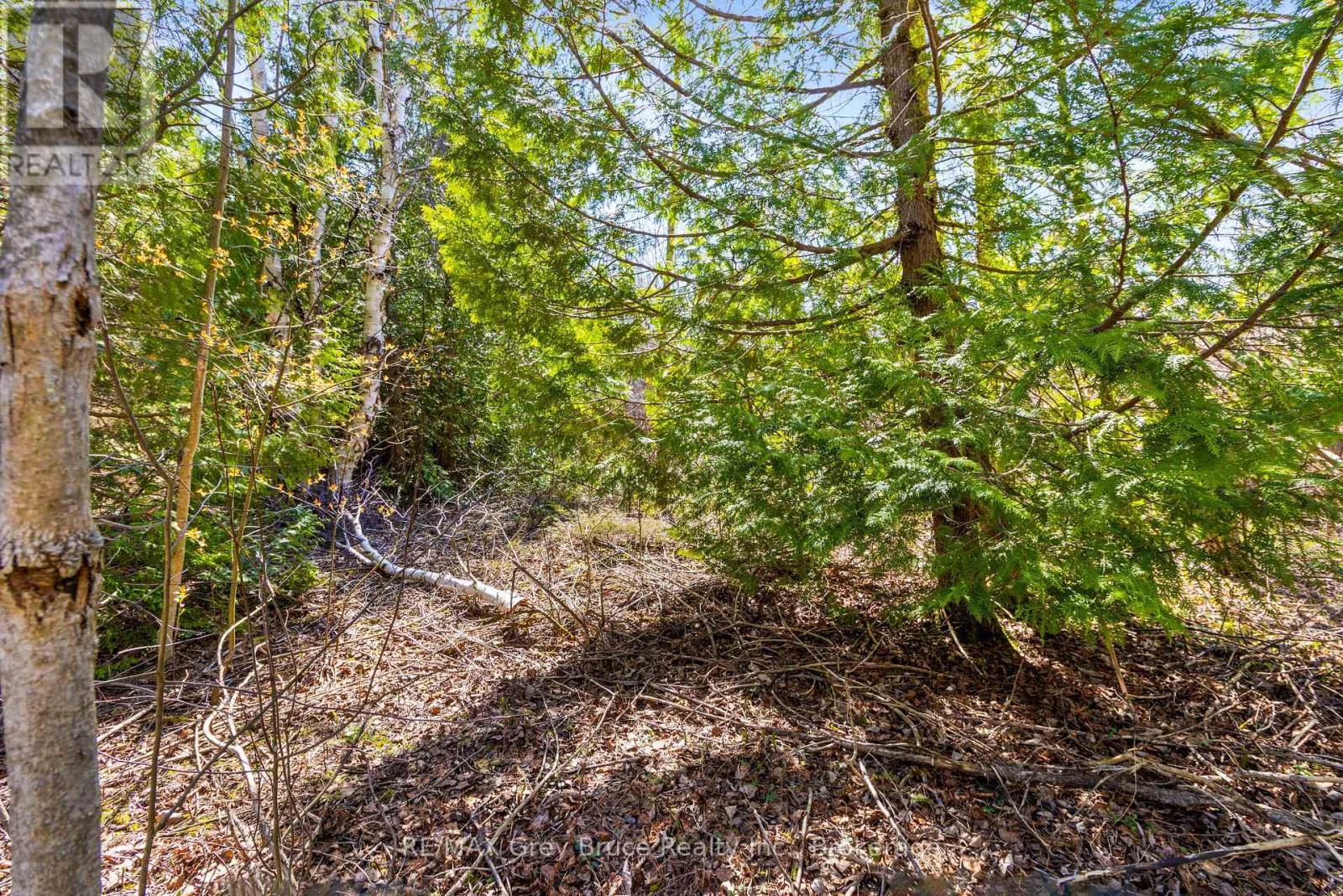 57 Maple Golf Crescent, Northern Bruce Peninsula, Ontario  N0H 2R0 - Photo 13 - X11956564