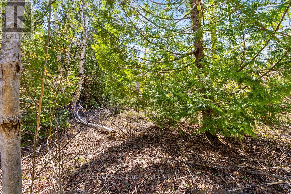 57 Maple Golf Crescent, Northern Bruce Peninsula, Ontario  N0H 2R0 - Photo 36 - X11956564