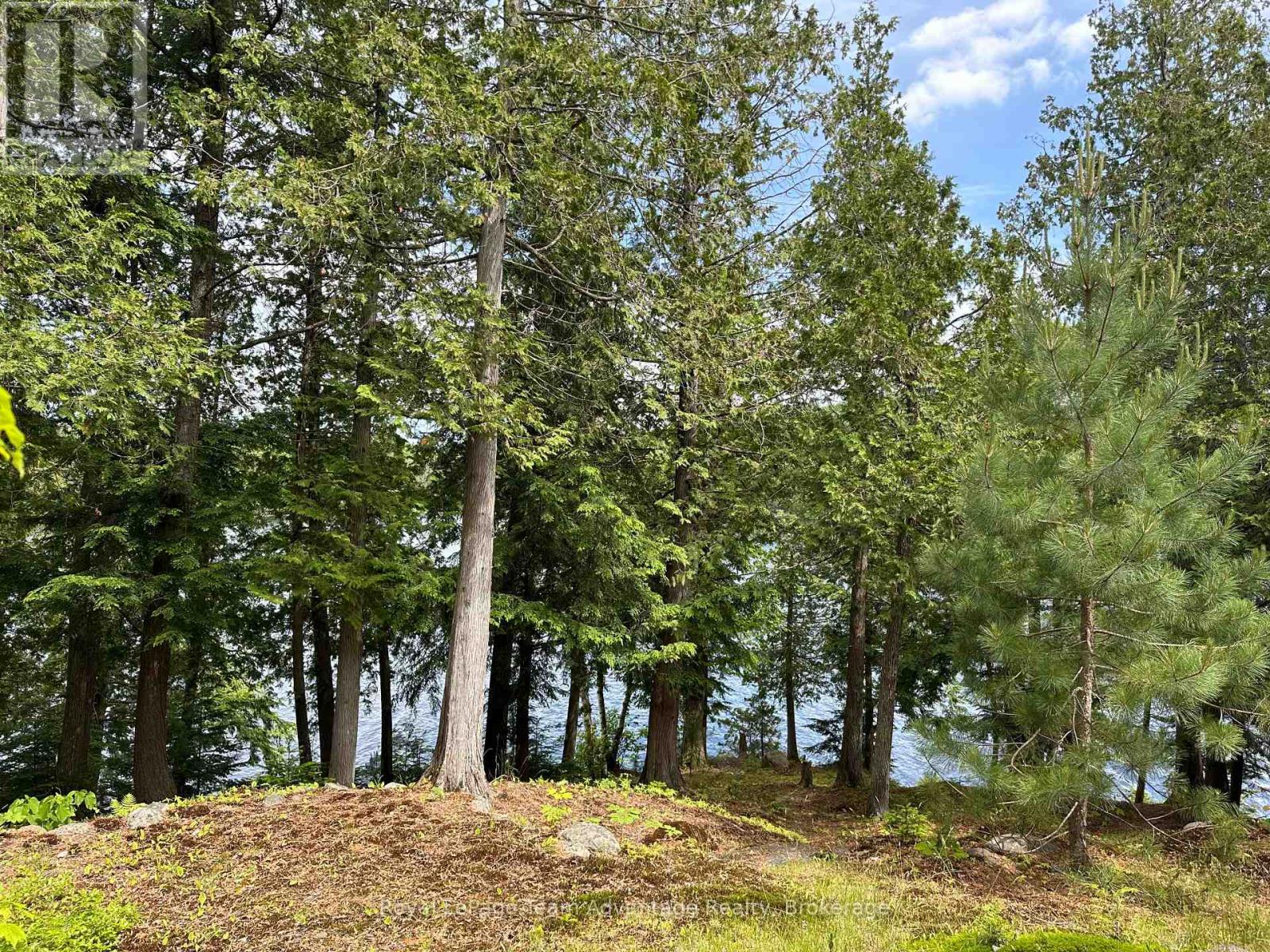 0 Whitestone, Whitestone, Ontario  P0A 1G0 - Photo 18 - X11961999