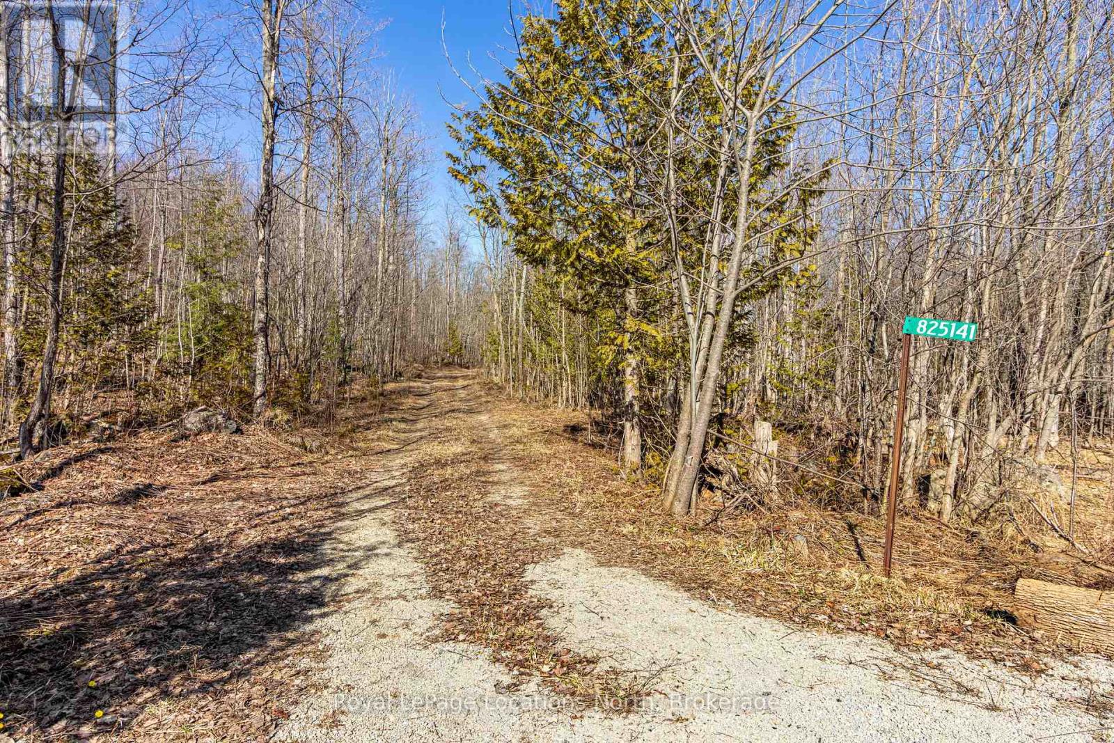 825141 Grey Road 40 Road, Grey Highlands, Ontario  N0H 2S0 - Photo 1 - X11966098