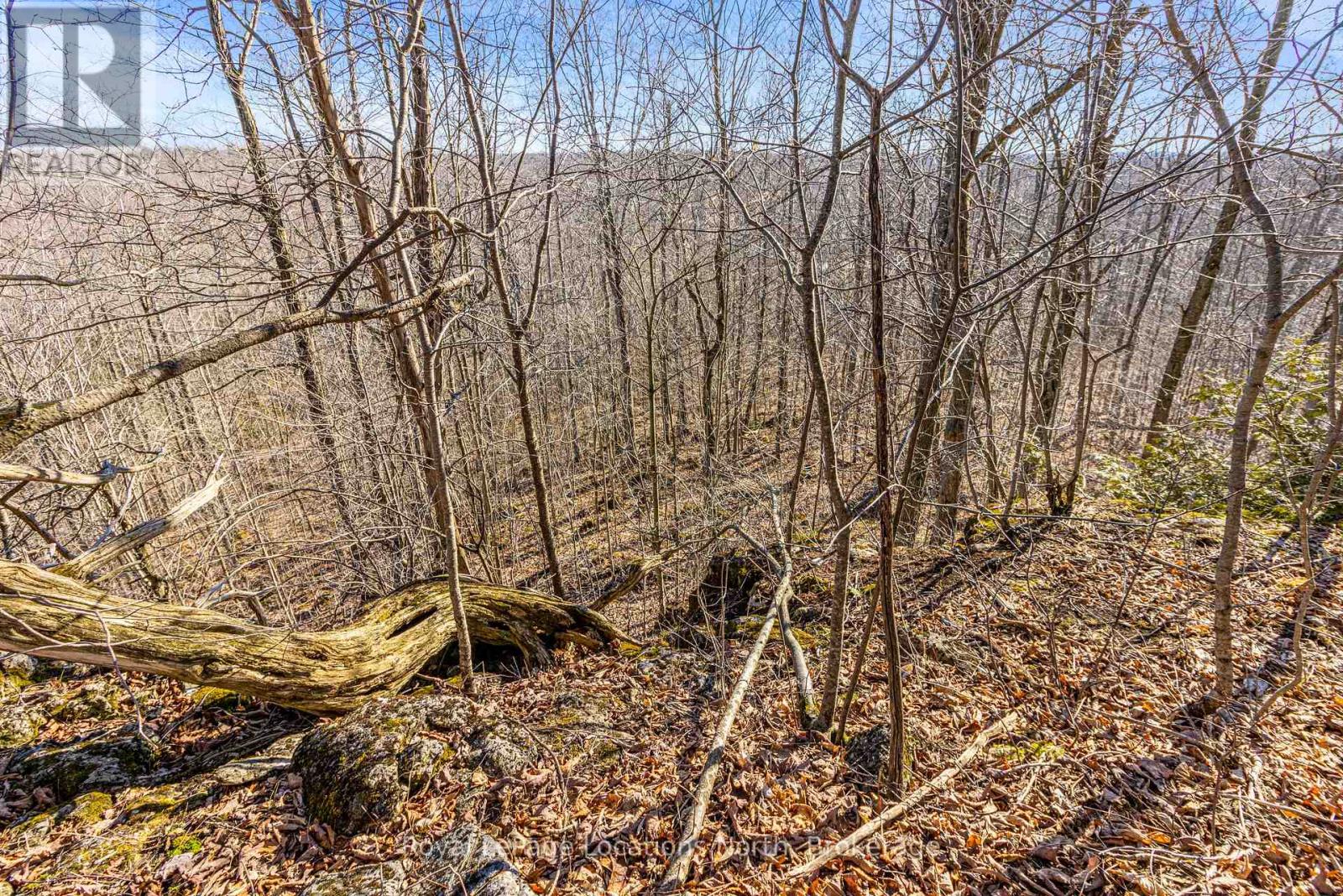 825141 Grey Road 40 Road, Grey Highlands, Ontario  N0H 2S0 - Photo 13 - X11966098