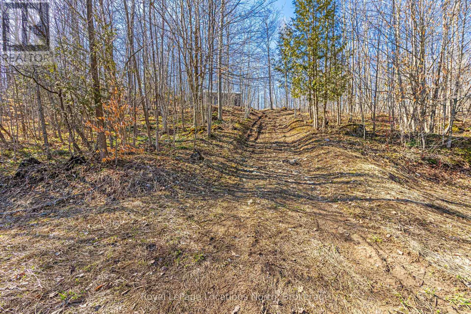 825141 Grey Road 40 Road, Grey Highlands, Ontario  N0H 2S0 - Photo 14 - X11966098