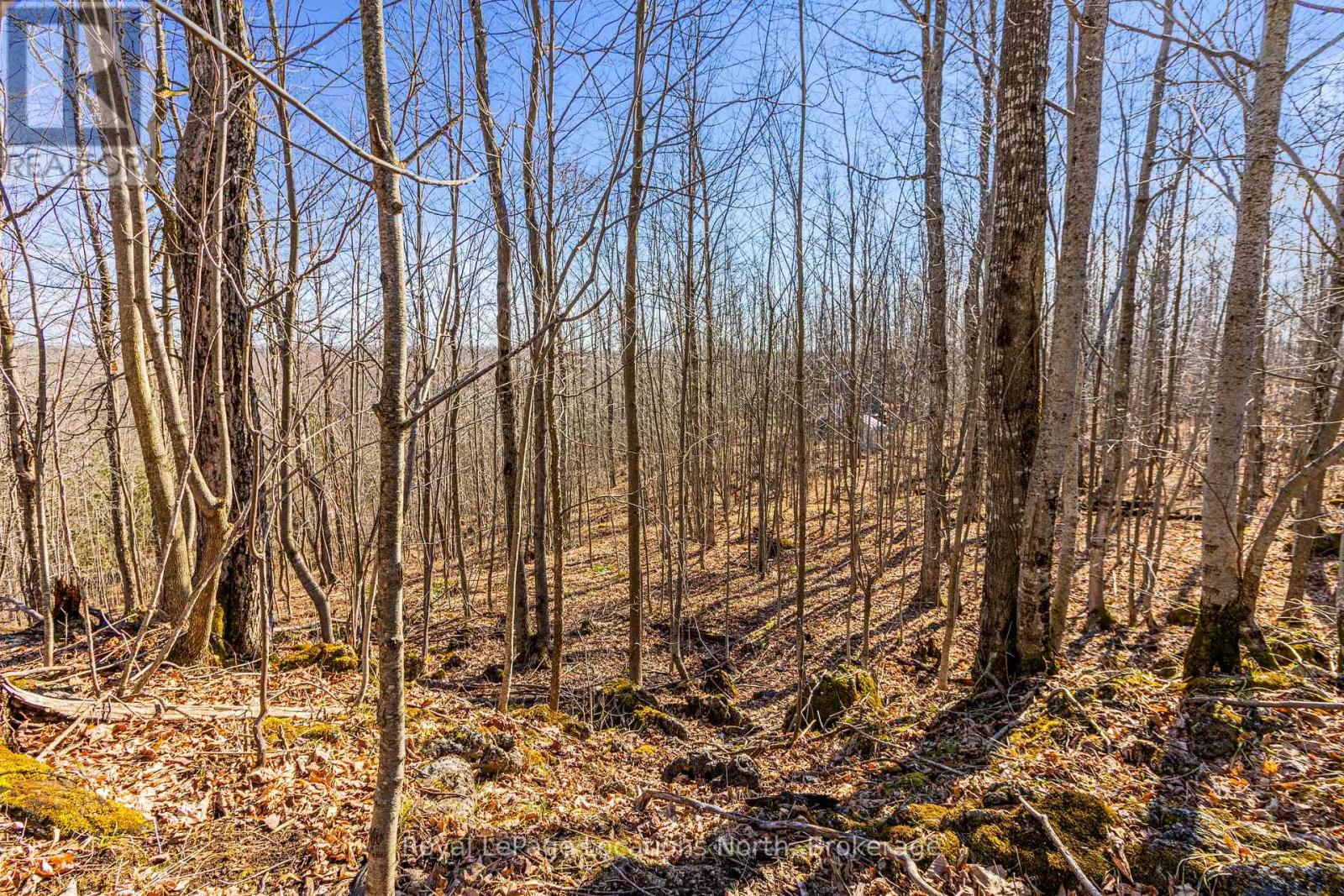 825141 Grey Road 40 Road, Grey Highlands, Ontario  N0H 2S0 - Photo 16 - X11966098