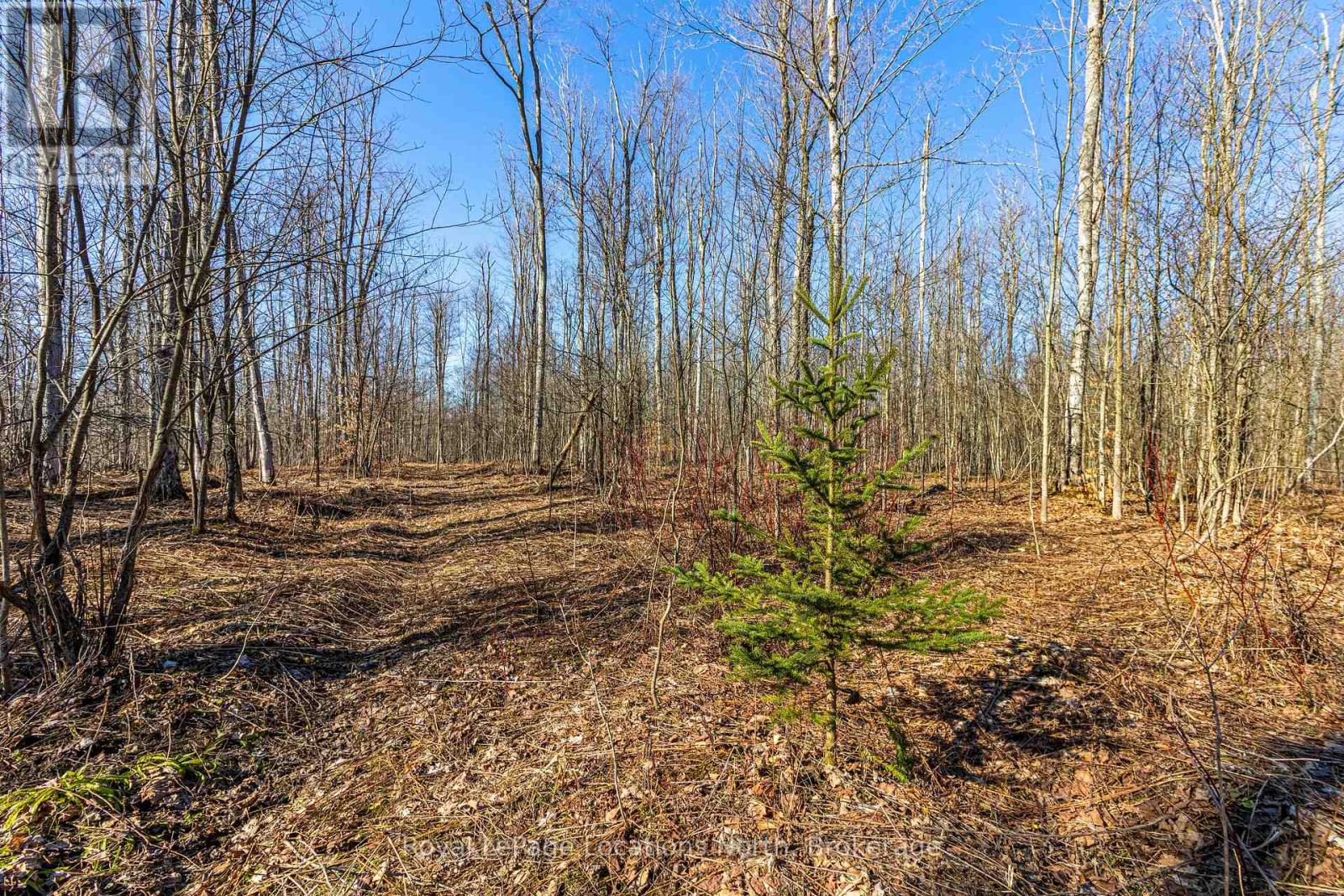 825141 Grey Road 40 Road, Grey Highlands, Ontario  N0H 2S0 - Photo 18 - X11966098