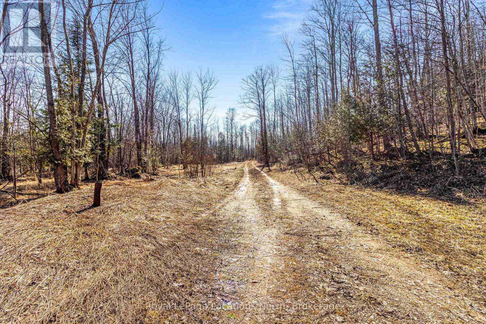 825141 Grey Road 40 Road, Grey Highlands, Ontario  N0H 2S0 - Photo 5 - X11966098
