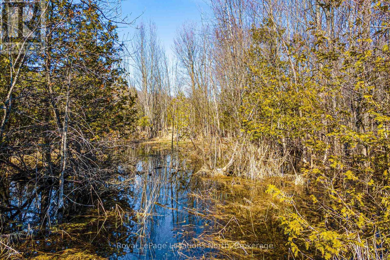825141 Grey Road 40 Road, Grey Highlands, Ontario  N0H 2S0 - Photo 6 - X11966098