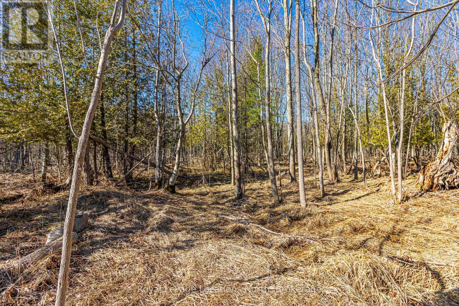825141 Grey Road 40 Road, Grey Highlands, Ontario  N0H 2S0 - Photo 7 - X11966098