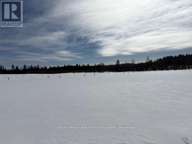 0 Old Muskoka To The West Side Of #1105 Road, Huntsville, Ontario  P0B 1M0 - Photo 8 - X11980894