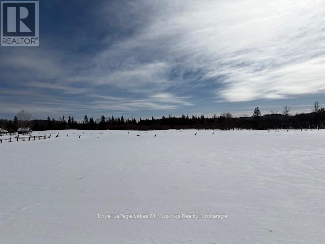 0 Old Muskoka To The West Side Of #1105 Road, Huntsville, Ontario  P0B 1M0 - Photo 9 - X11980894