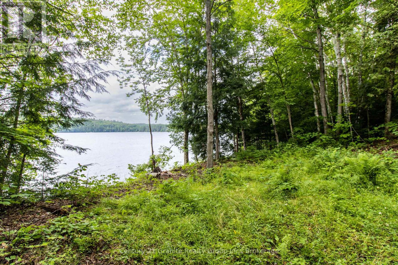 4821 Haliburton Lake Road, Dysart Et Al, Ontario  K0M 1S0 - Photo 10 - X11981889