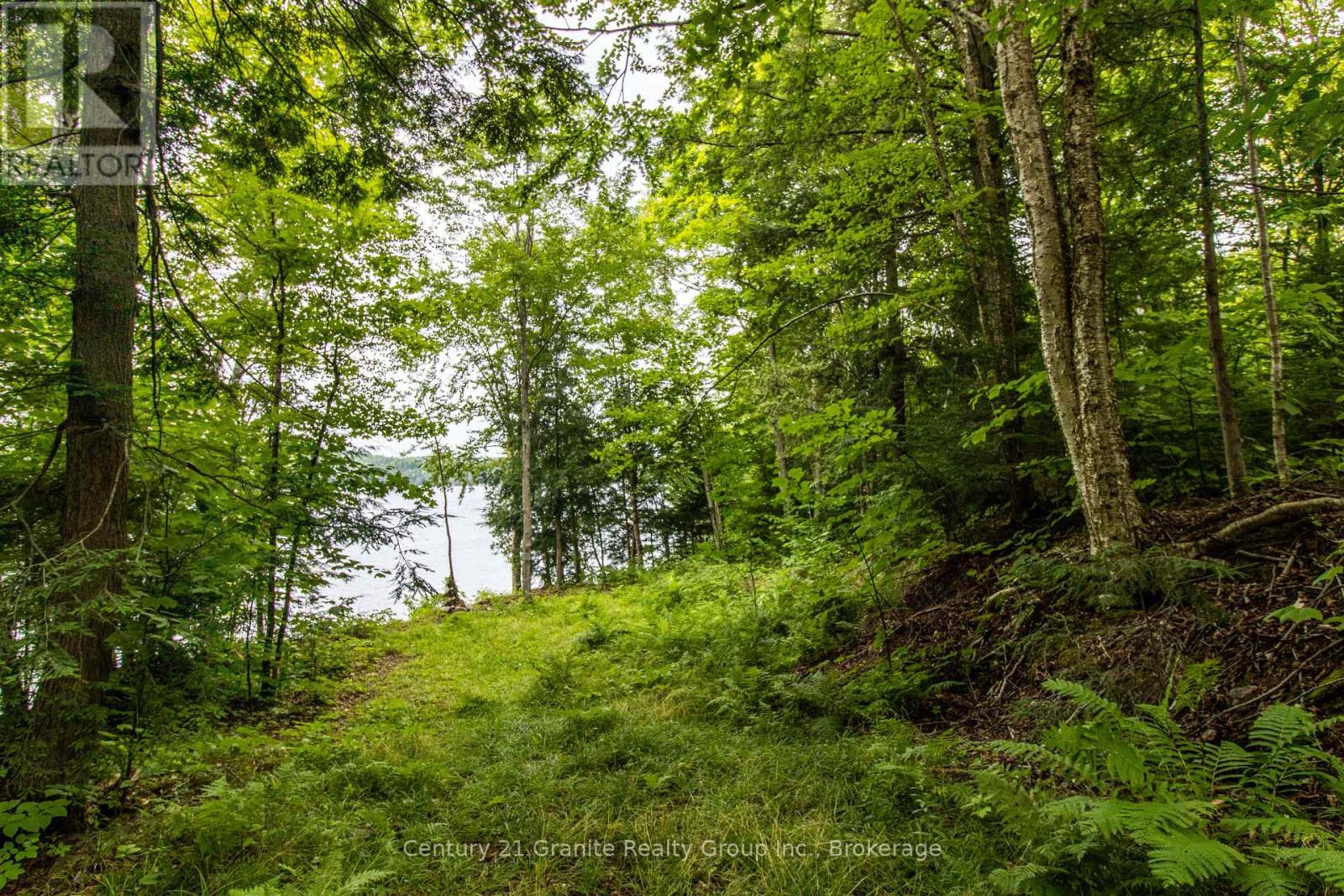 4821 Haliburton Lake Road, Dysart Et Al, Ontario  K0M 1S0 - Photo 11 - X11981889