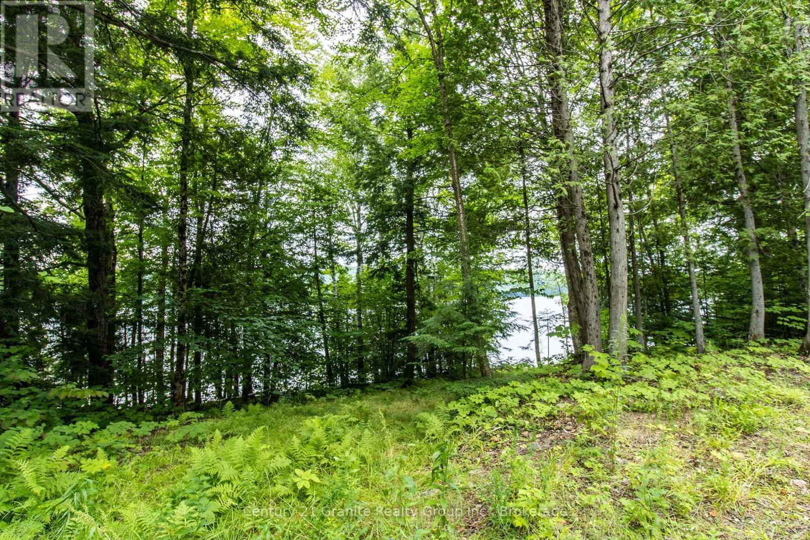 4821 Haliburton Lake Road, Dysart Et Al, Ontario  K0M 1S0 - Photo 12 - X11981889