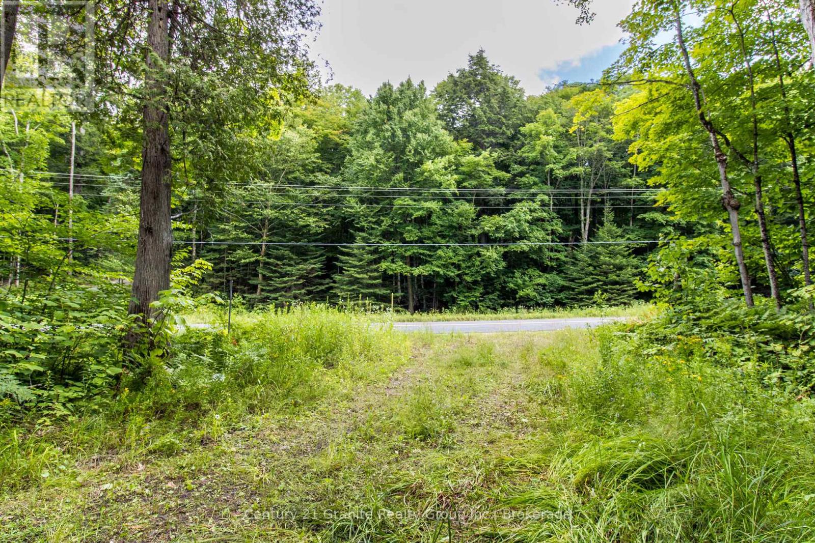 4821 Haliburton Lake Road, Dysart Et Al, Ontario  K0M 1S0 - Photo 13 - X11981889