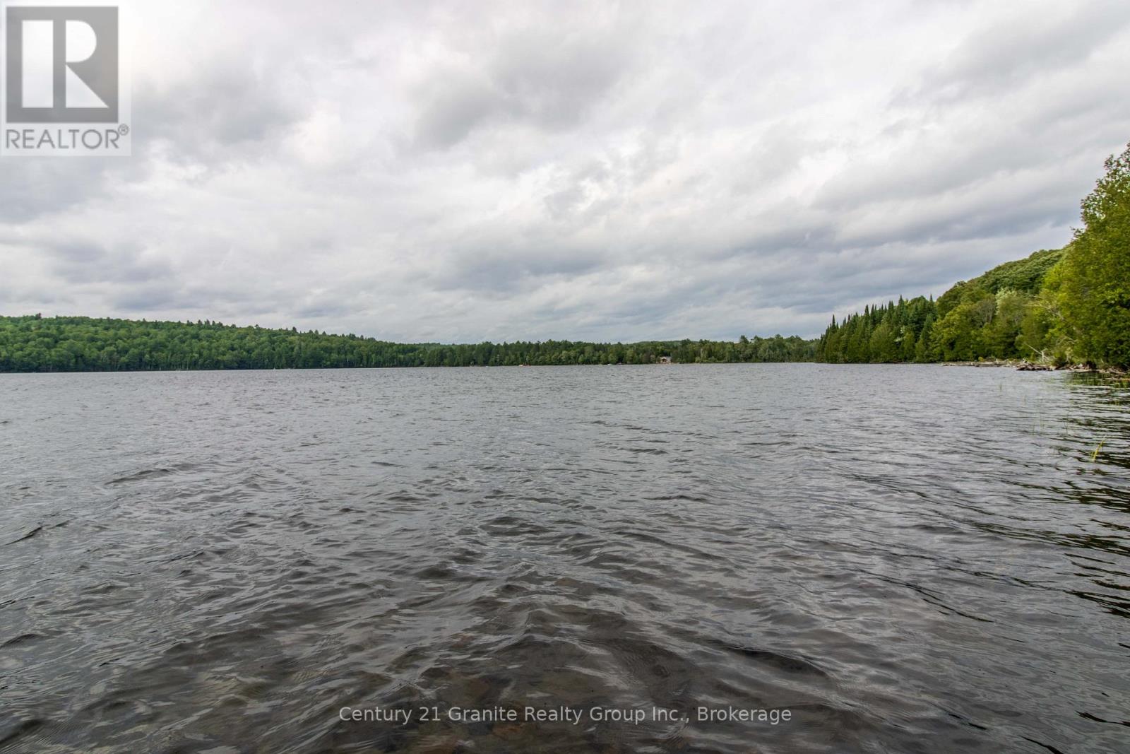4821 Haliburton Lake Road, Dysart Et Al, Ontario  K0M 1S0 - Photo 5 - X11981889