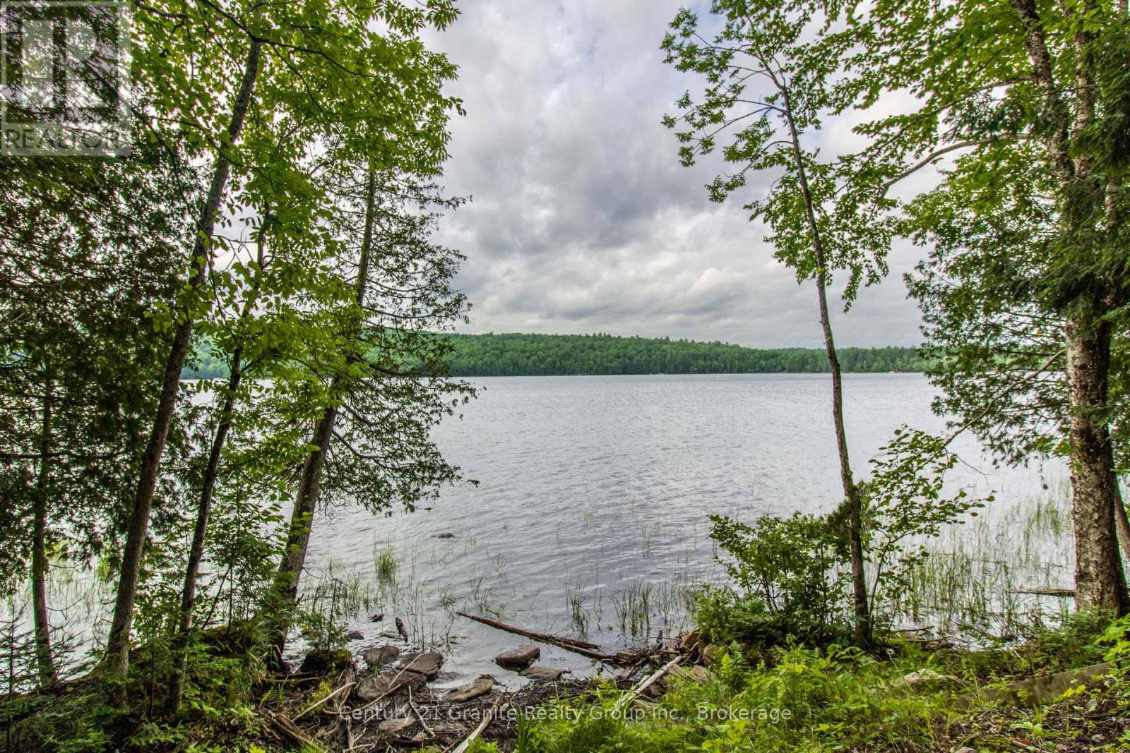 4821 Haliburton Lake Road, Dysart Et Al, Ontario  K0M 1S0 - Photo 6 - X11981889