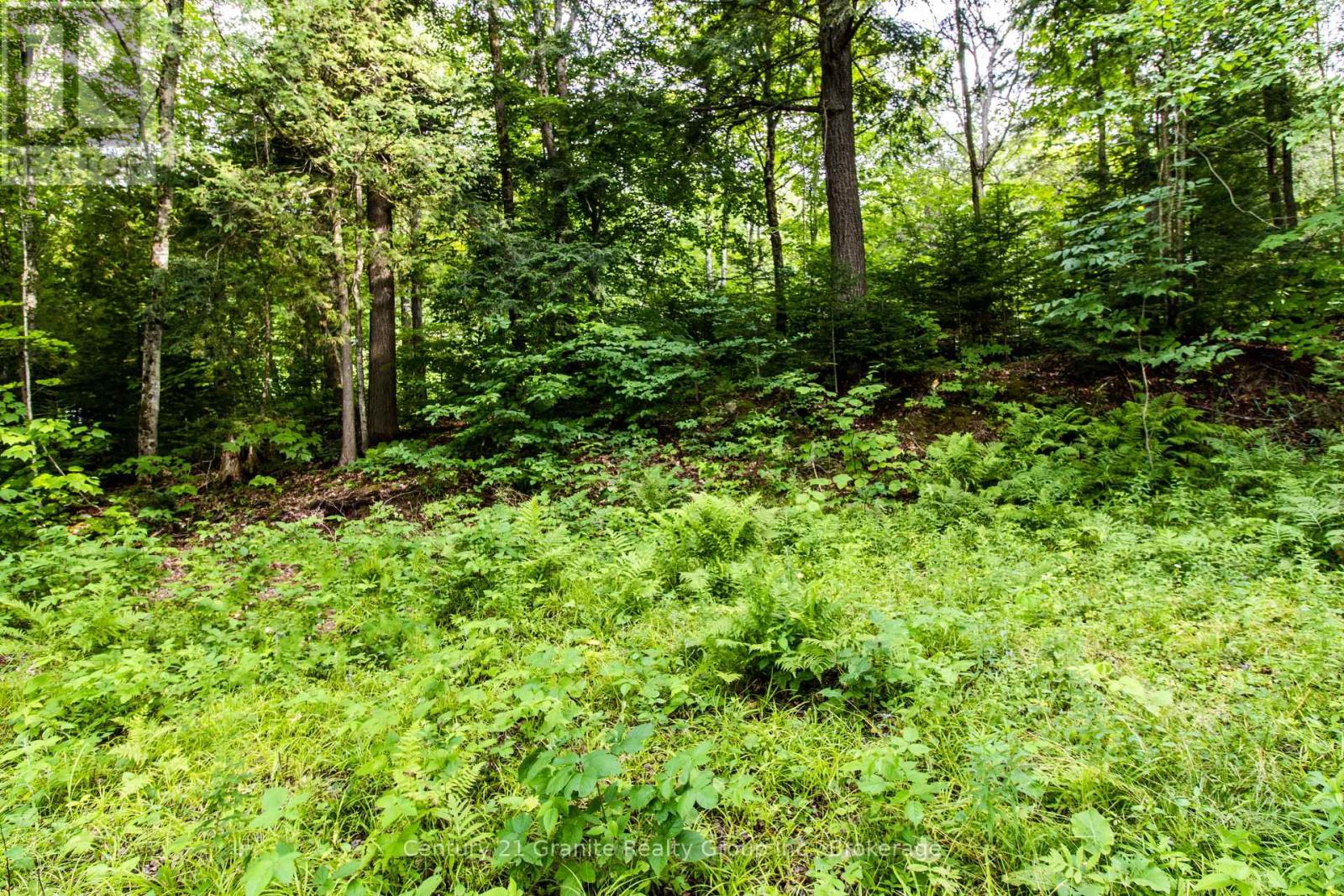 4821 Haliburton Lake Road, Dysart Et Al, Ontario  K0M 1S0 - Photo 7 - X11981889
