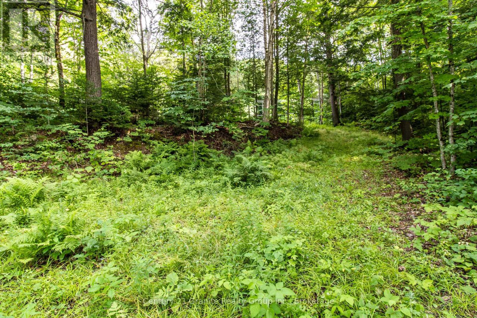 4821 Haliburton Lake Road, Dysart Et Al, Ontario  K0M 1S0 - Photo 8 - X11981889