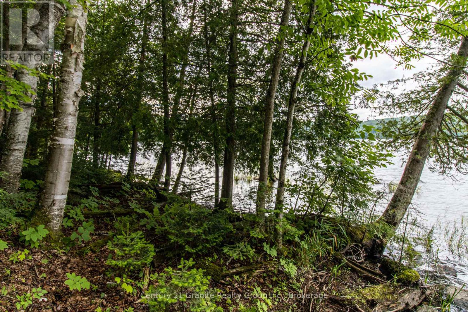4821 Haliburton Lake Road, Dysart Et Al, Ontario  K0M 1S0 - Photo 9 - X11981889