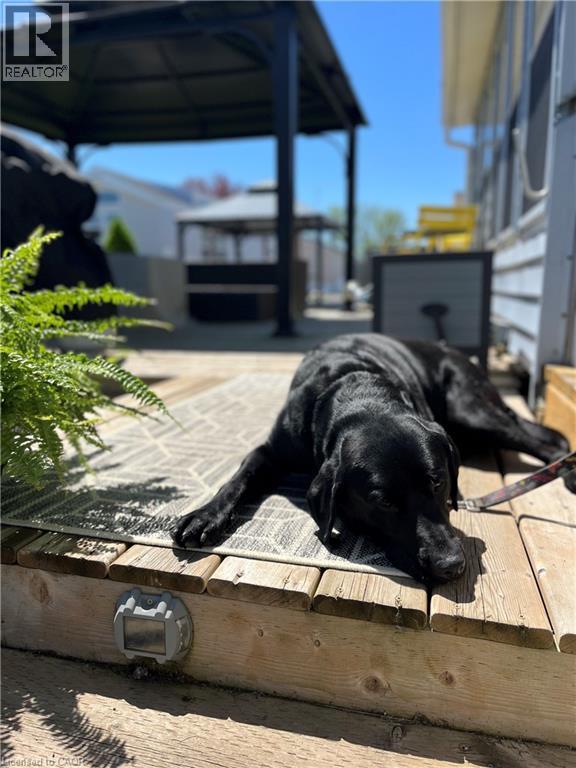 92 Clubhouse Road Unit# 50, Turkey Point, Ontario  N0E 1T0 - Photo 9 - 40700530