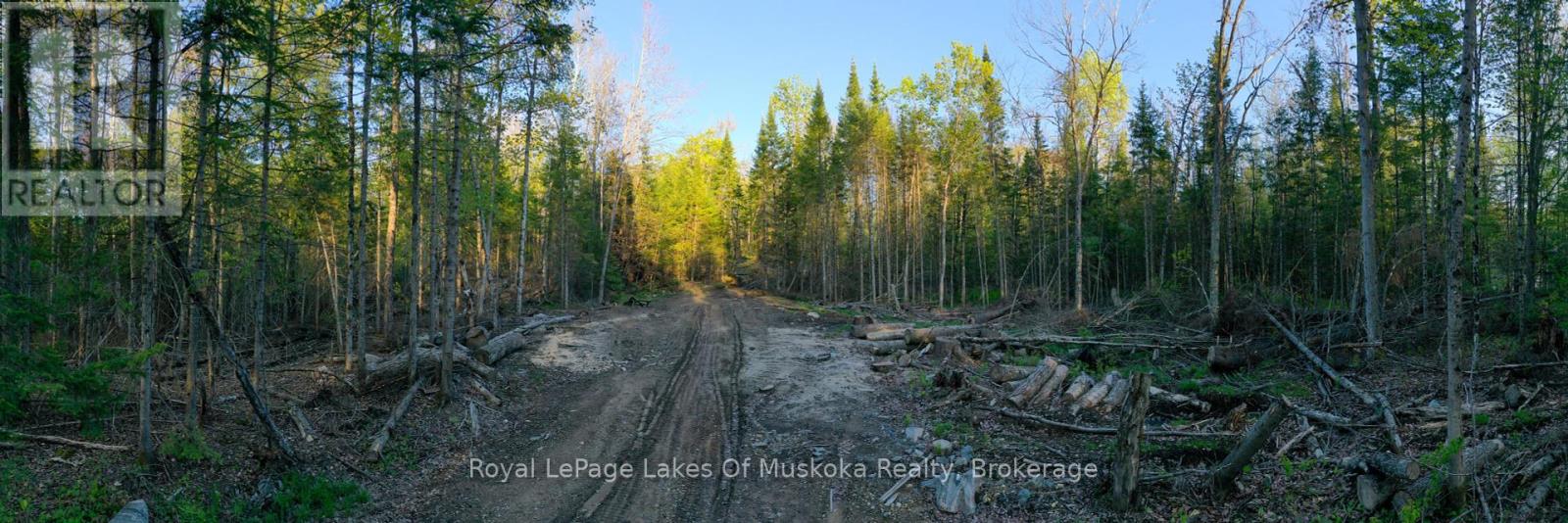 203 Con 4 & 5 Road W, Huntsville, Ontario  P1H 2A9 - Photo 41 - X11985019