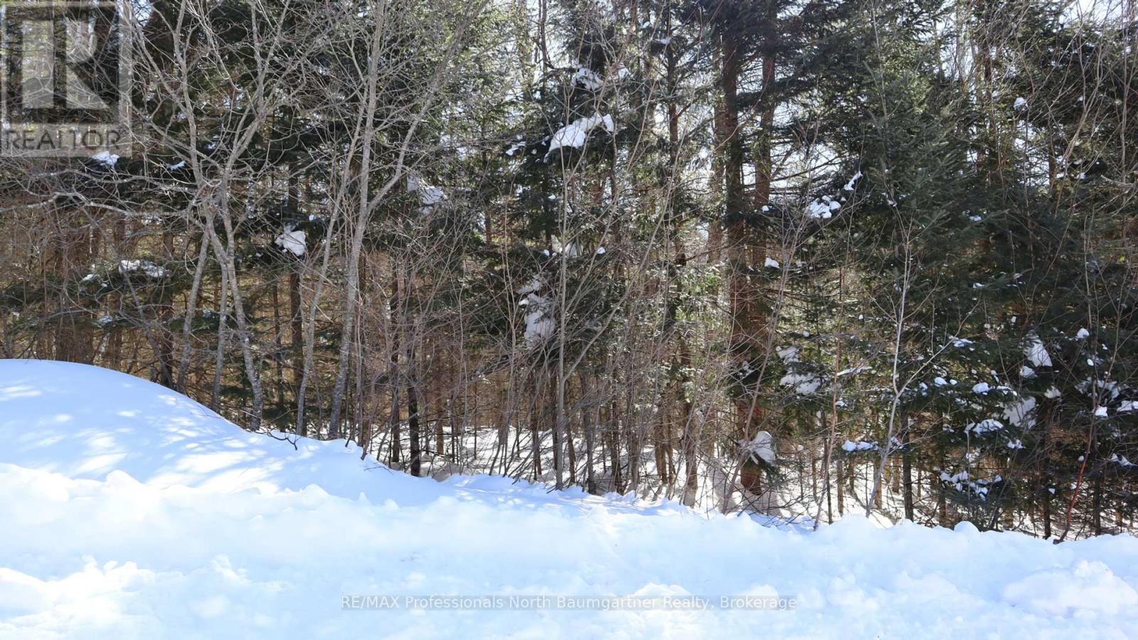 Lt 7 Broadleaf Road, Highlands East, Ontario  K0L 3C0 - Photo 4 - X11985022