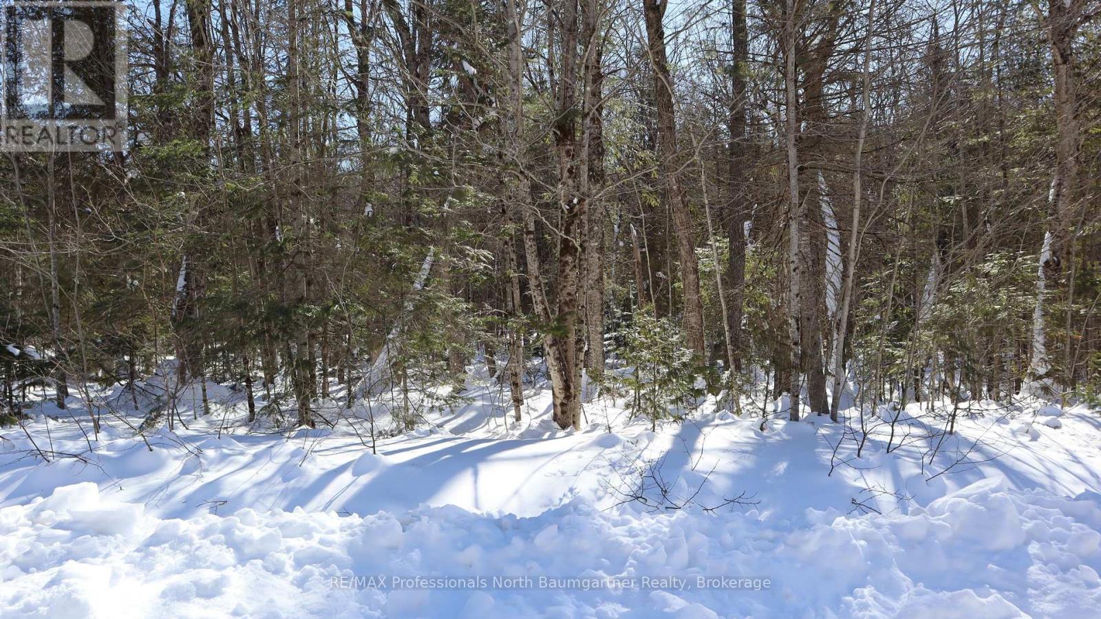 Lt 8 Broadleaf Road, Highlands East, Ontario  K0L 3C0 - Photo 4 - X11985025