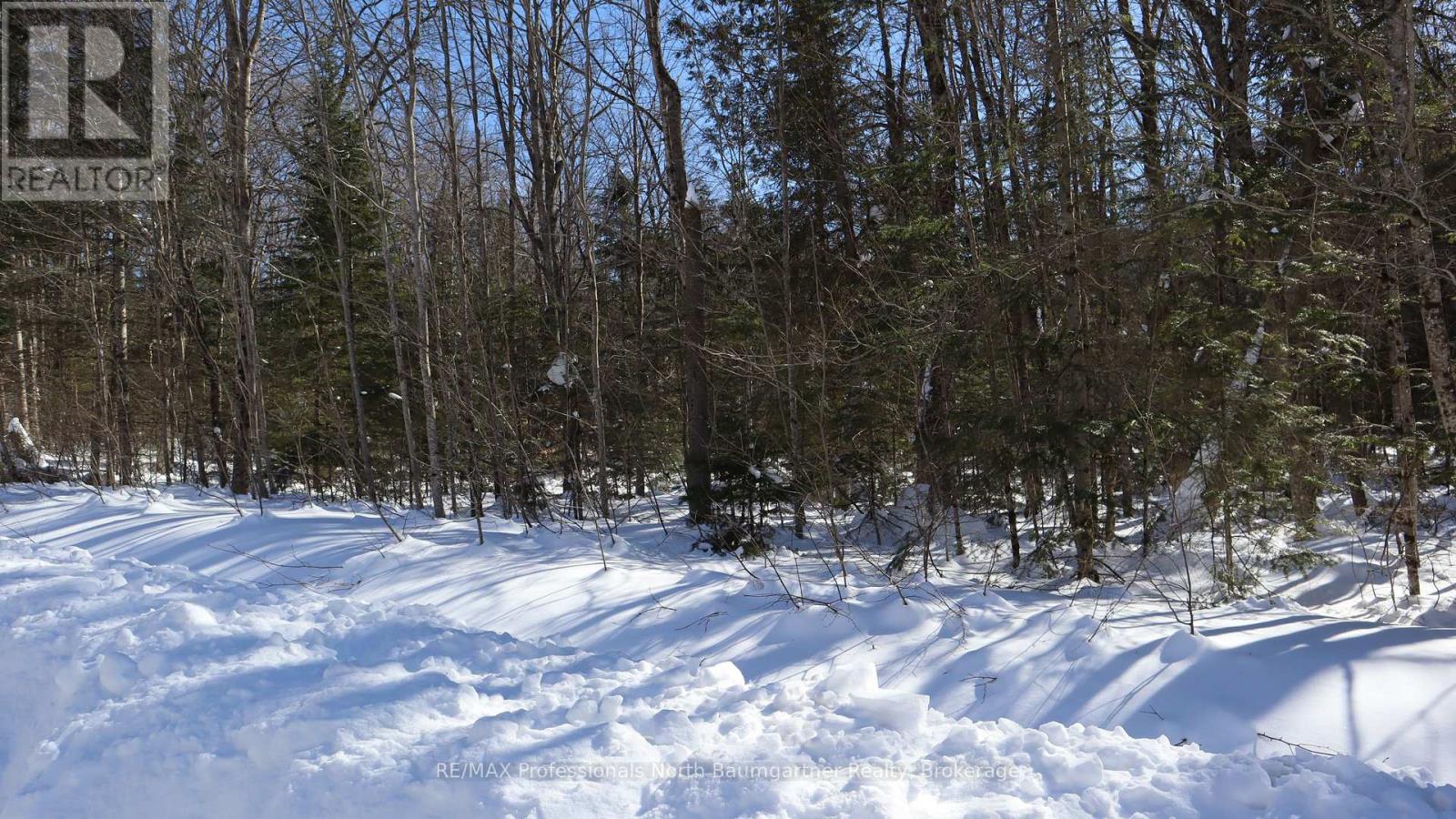 Lt 8 Broadleaf Road, Highlands East, Ontario  K0L 3C0 - Photo 5 - X11985025