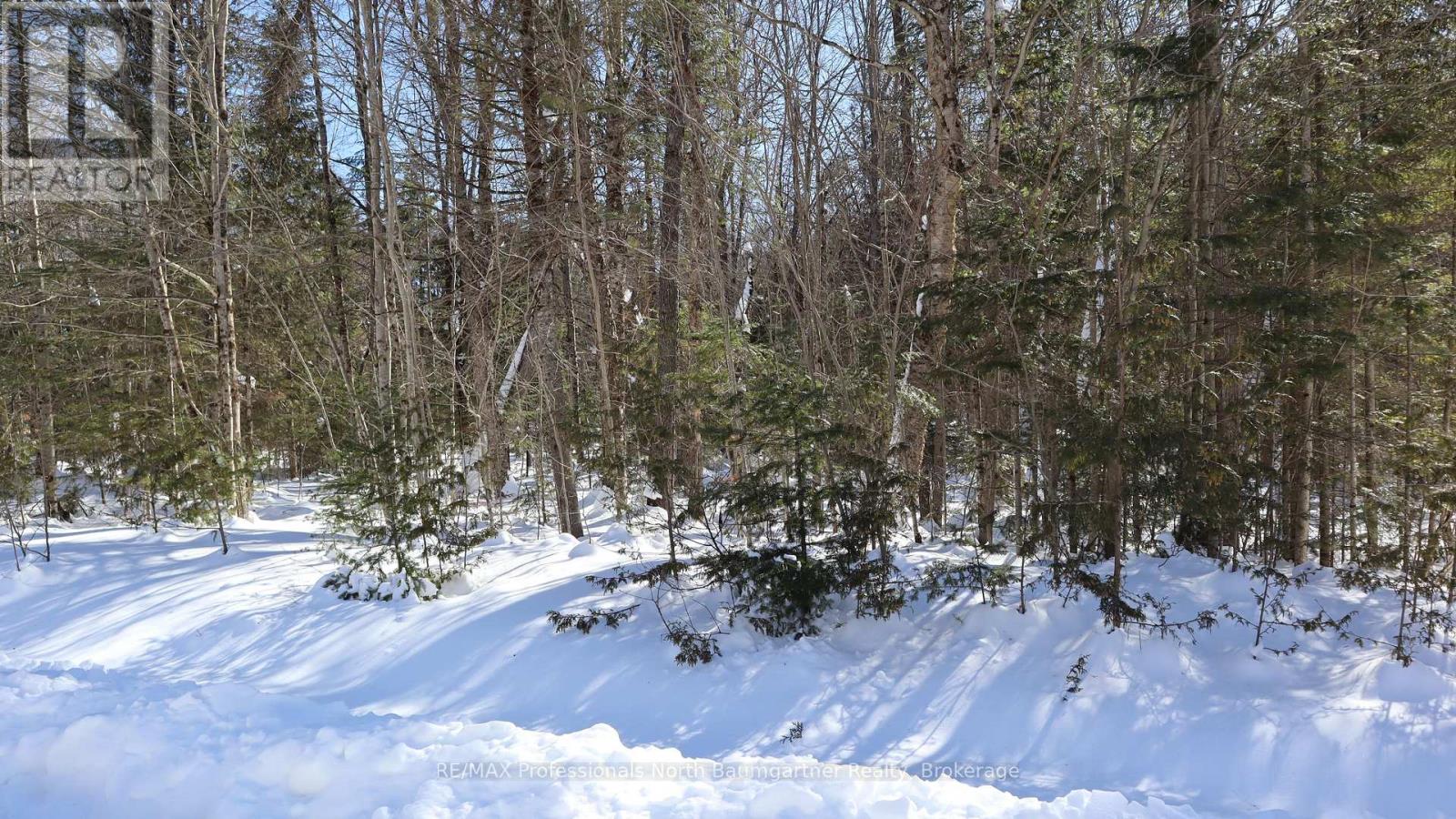 Lt 8 Broadleaf Road, Highlands East, Ontario  K0L 3C0 - Photo 6 - X11985025