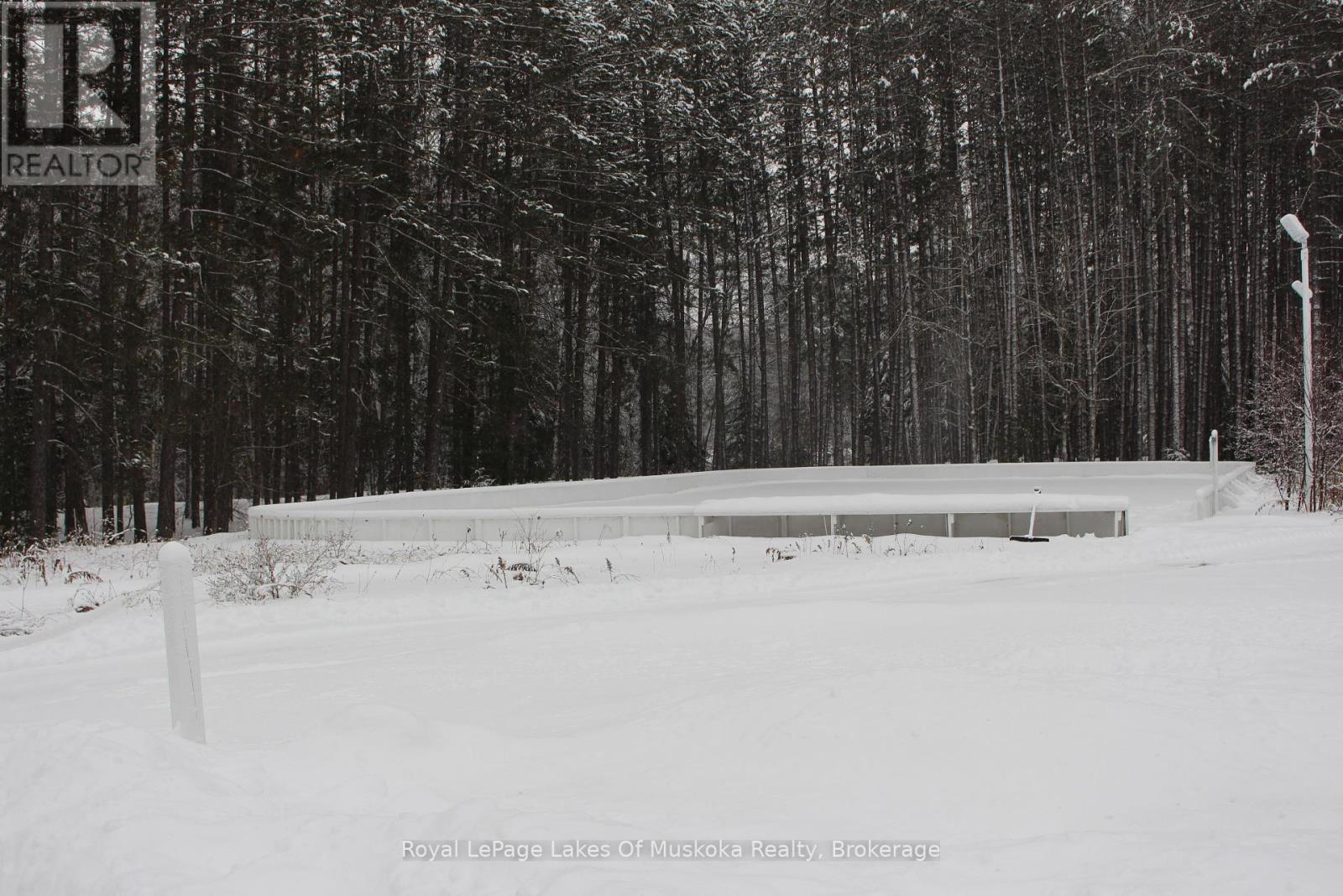 V 16 W 3 - 1020 Birch Glen Road, Lake Of Bays, Ontario  P0B 1A0 - Photo 5 - X11987171