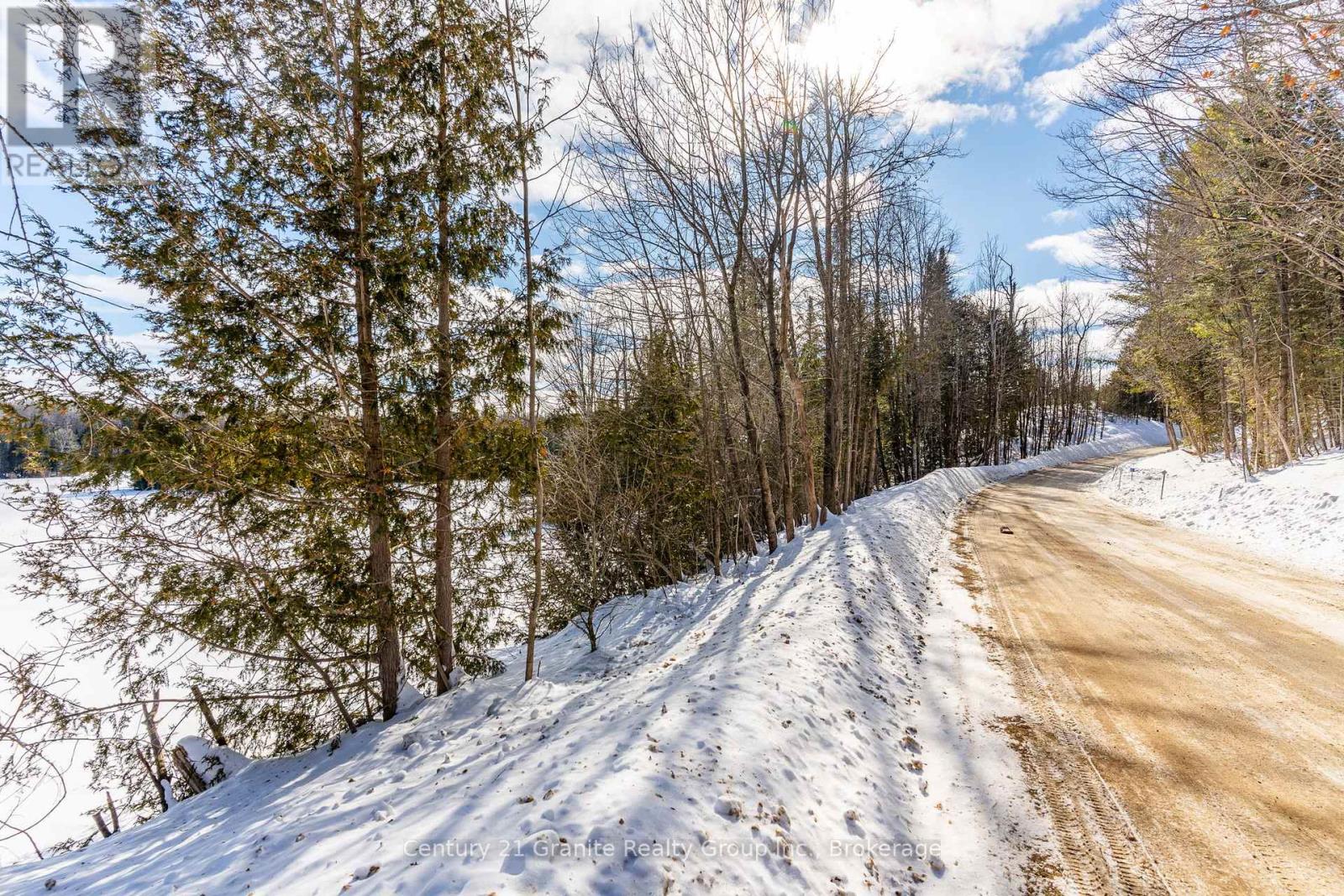 3783 Monck Road, Kawartha Lakes, Ontario  K0M 1K0 - Photo 39 - X11990068