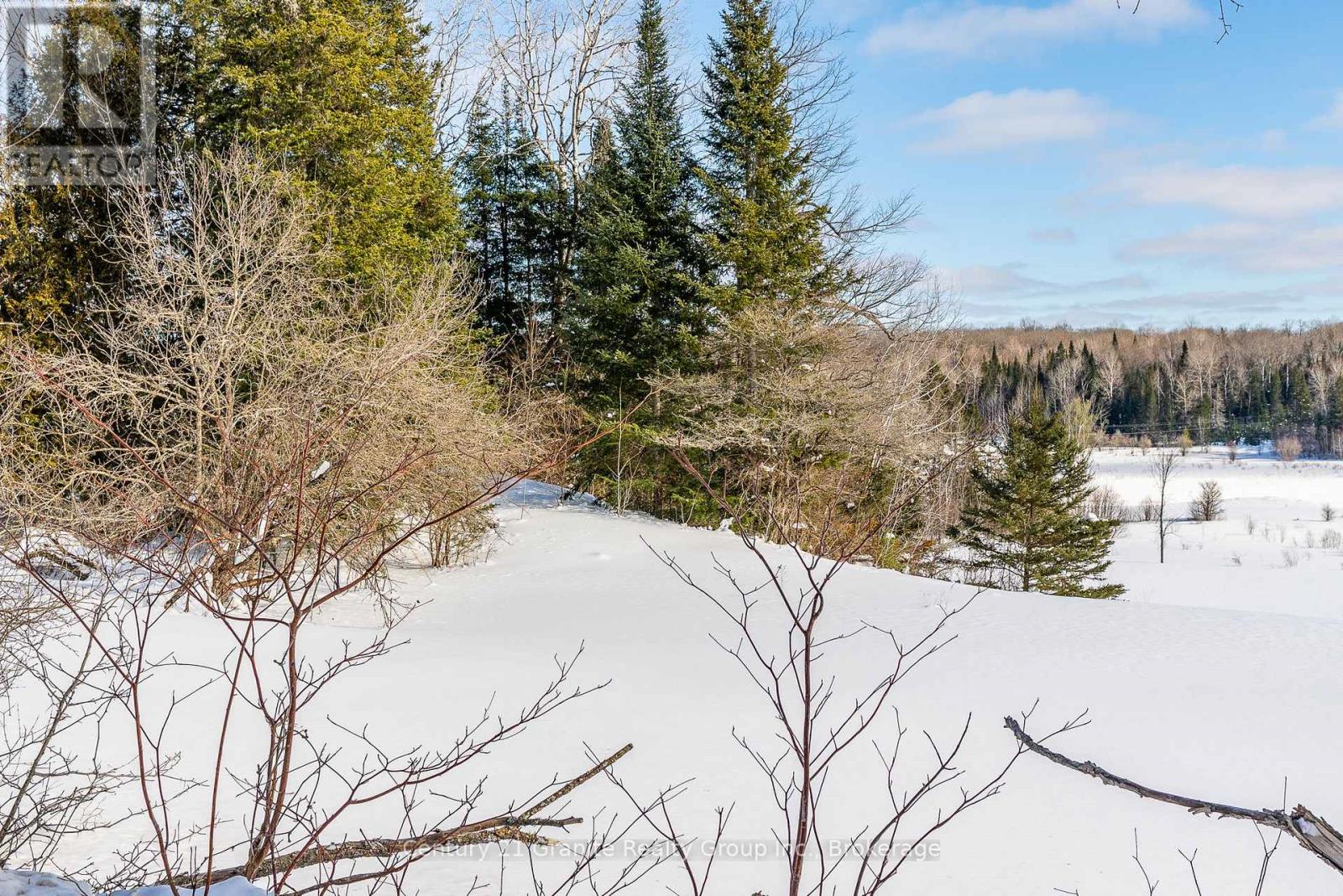 3783 Monck Road, Kawartha Lakes, Ontario  K0M 1K0 - Photo 41 - X11990068