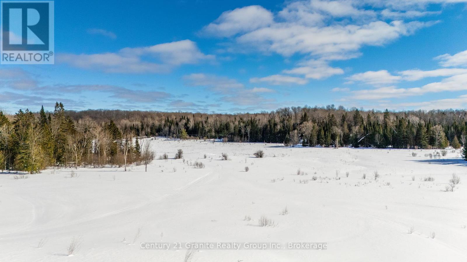 3783 Monck Road, Kawartha Lakes, Ontario  K0M 1K0 - Photo 42 - X11990068