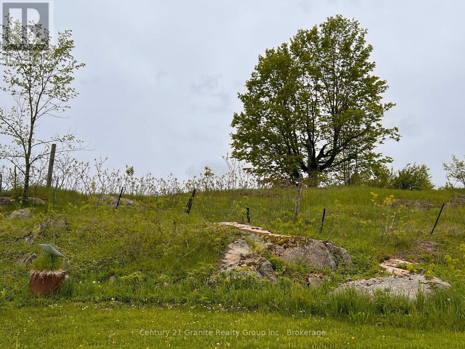 3783 Monck Road, Kawartha Lakes, Ontario  K0M 1K0 - Photo 48 - X11990068