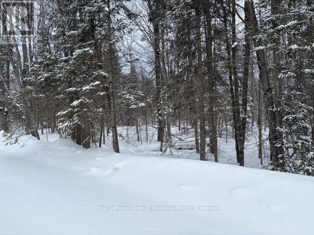59 Summer Leigh Trail, Huntsville, Ontario  P0B 1M0 - Photo 1 - X11993856