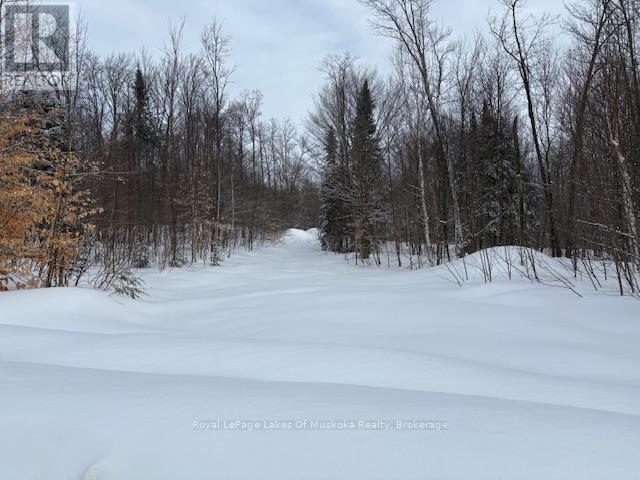 59 Summer Leigh Trail, Huntsville, Ontario  P0B 1M0 - Photo 4 - X11993856