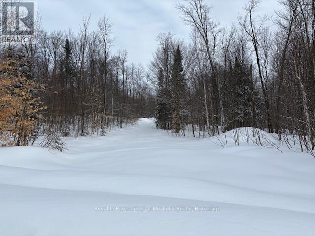 59 Summer Leigh Trail, Huntsville, Ontario  P0B 1M0 - Photo 6 - X11993856