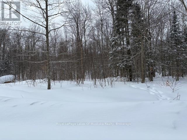 48 Summer Leigh Trail, Huntsville, Ontario  P0B 1M0 - Photo 1 - X11993917