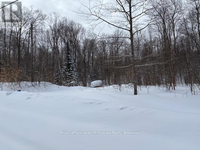 48 Summer Leigh Trail, Huntsville, Ontario  P0B 1M0 - Photo 2 - X11993917
