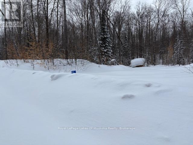 48 Summer Leigh Trail, Huntsville, Ontario  P0B 1M0 - Photo 3 - X11993917