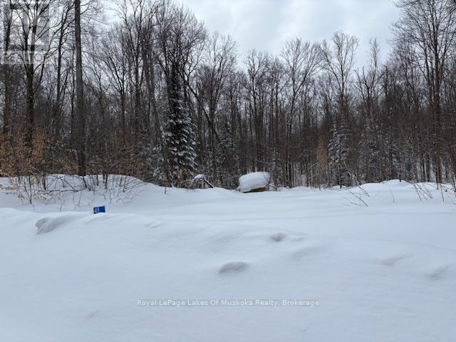 48 Summer Leigh Trail, Huntsville, Ontario  P0B 1M0 - Photo 5 - X11993917