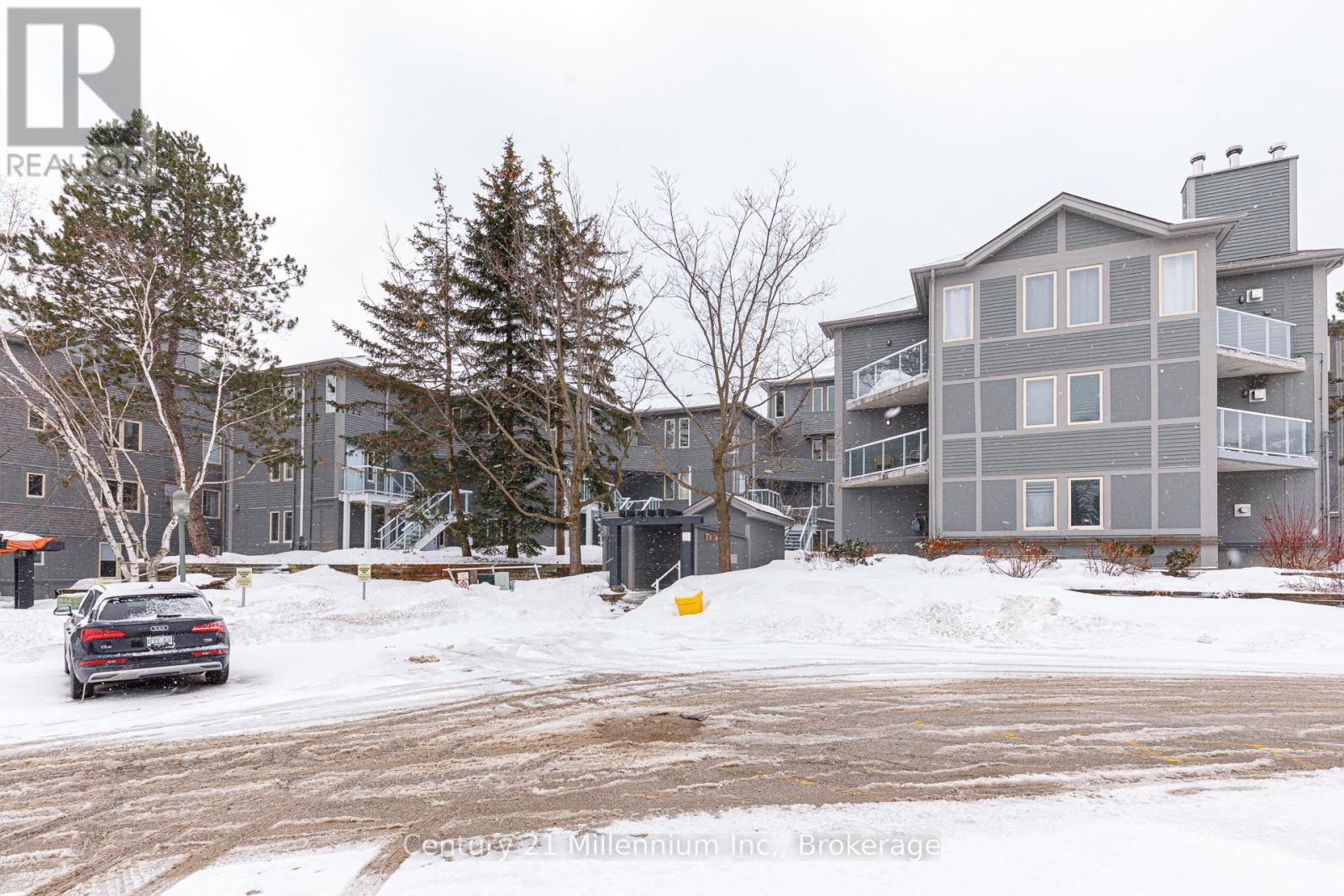 313 - 107 Ann Heggtveit Drive, Blue Mountains, Ontario  L9Y 0P7 - Photo 39 - X11994176