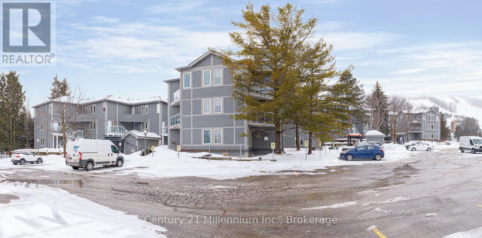 313 - 107 Ann Heggtveit Drive, Blue Mountains, Ontario  L9Y 0P7 - Photo 49 - X11994176